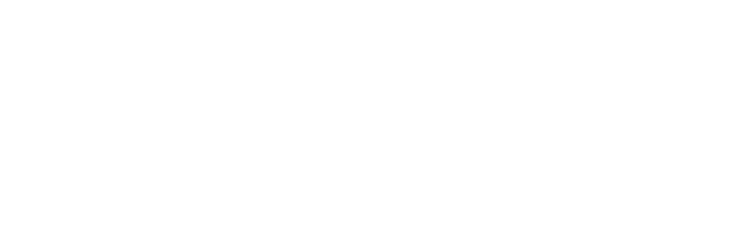 PULSO